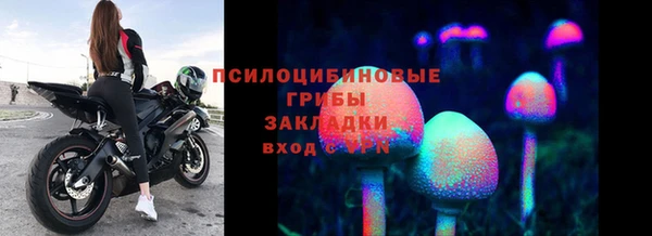 apvp Белокуриха
