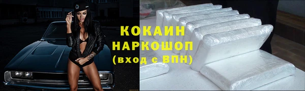 apvp Белокуриха